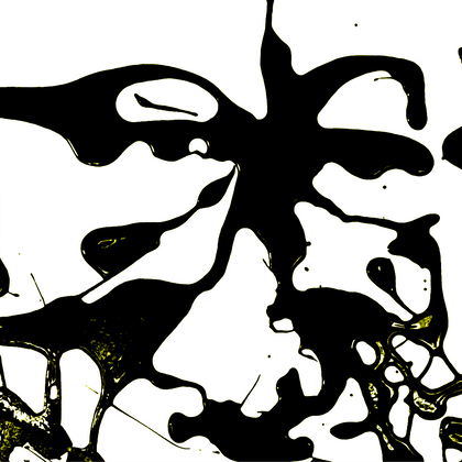 COLTRANE	30X20 (SOLD)