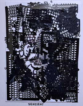 Sentient 12x9 Typography sheets and Ink on Bristol Board $100